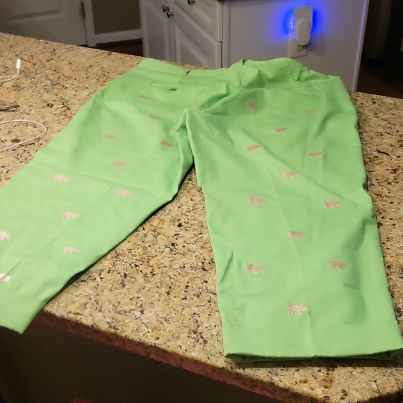 Mens 42 X 28 Green Pants with Pink Pigs Embroidery. Excellent Condition. - Picture 5 of 6